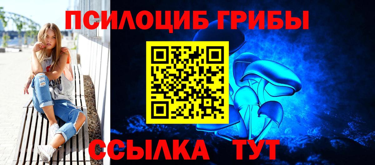 купить наркоту  Псилоцибиновые грибы Psilocybine cubensis  Вход с VPN  Королёв 