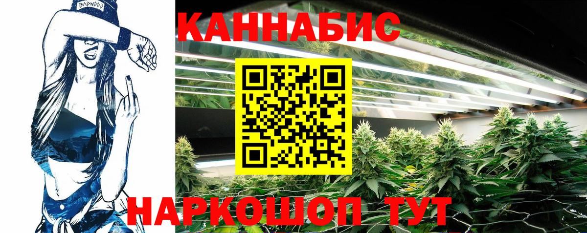 Марихуана OG Kush  Конопля Amnesia  Вход с VPN  Конопля сатива  Бошки Шишки семена  Королёв 